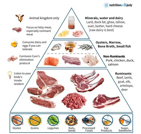 carnivore diet po polsku